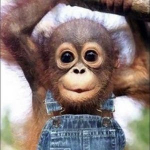 Meet your Posher, Cierra